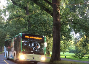 BBL Bus - Fur 5 Euro in die Stadt und zurück