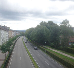 Ein Foto aus der Zeit als die (Baum)Reihen noch geschlossen waren